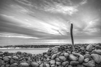 Fortitude Fine Art Print