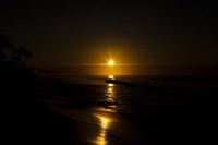 Golden Sunrise Fine Art Print