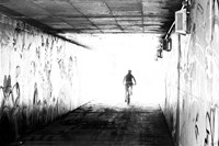 Into the Light Fine Art Print