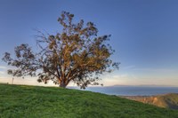 Island View Fine Art Print