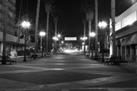 Light My Way Fine Art Print