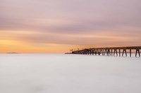 Milky Mussel Shoals Fine Art Print