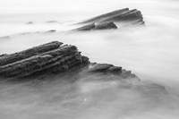 Reaching Through Fine Art Print