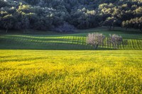 Together Forever Fine Art Print