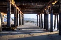 Under Stears Fine Art Print