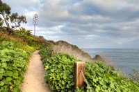 La Jolla Walk Fine Art Print