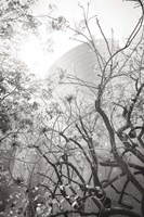 Dreamy Disney Concert View Fine Art Print