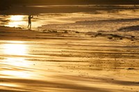 Headstrong Fine Art Print