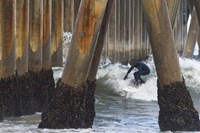 Threading the Pier Fine Art Print