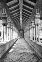 USC Hall B&W Fine Art Print