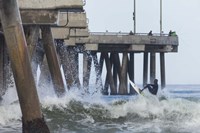 Venice Splash Fine Art Print