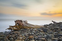 Covered Fine Art Print