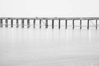 Support Fine Art Print