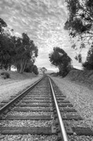 On The Right Track Fine Art Print