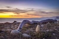 Driftwood January Fine Art Print