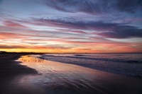 Birdrise Fine Art Print