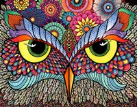 Owl Face Fine Art Print