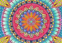 Summer Fun Fine Art Print