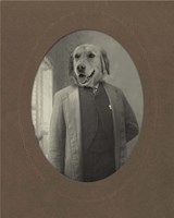 Dog Series #2 Framed Print
