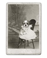Dog Series #5 Framed Print