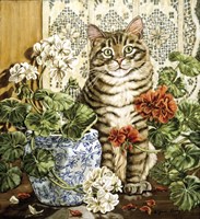 Winter's Garden Fine Art Print