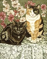 Cosmos & Lace Fine Art Print