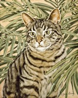Tiger Fine Art Print