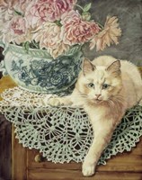 Peonies And Lace Fine Art Print