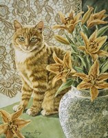 Addie And The Stargazers Fine Art Print