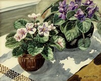 African Violets Fine Art Print