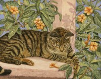 Caribbean Cat Fine Art Print