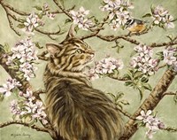 Wishful Thinking Fine Art Print