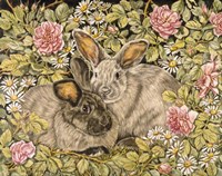 Daisy & Rose Fine Art Print