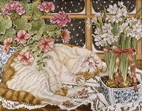 Long Winter's Nap Fine Art Print