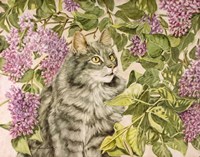 Spring Fever Fine Art Print