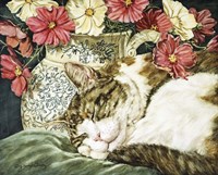 Cosmos Dreams Fine Art Print