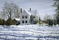 Fallen Leaves Fine Art Print