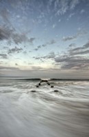 Impulse Fine Art Print