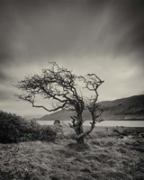 Successful Hills are Here to Stay Fine Art Print