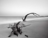 Three Masses Fine Art Print