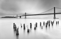 Harmonium Fine Art Print