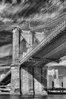 Zither Fine Art Print