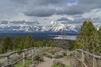 Jackson Lake Overlook G Fine Art Print