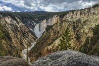 Lower Falls YNP Grand Canyon Fine Art Print