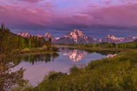 Magenta Sunrise  Oxbow Bend Fine Art Print