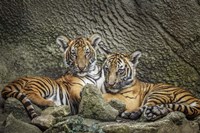 Brothers Twosome Fine Art Print