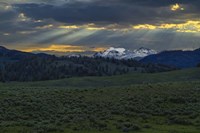 Lamar Valley Sunrise Fine Art Print