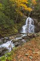Moss Glen Falls in VT Fine Art Print