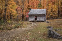 Alex Cole Cabin Fine Art Print