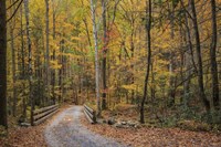 Greenbrier Bridge Path Fine Art Print
